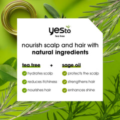 Yes To Tea Tree & Sage Shampoo ingredients tea tree oil highlight for cleansing
