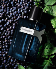 Yves Saint Laurent Y Intense packaging box emphasizes premium appeal.