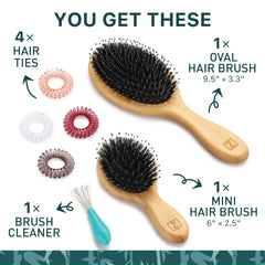 Zollo black boar hair closeup highlights premium moisture balance.
