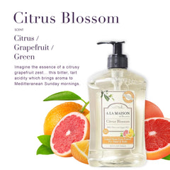 A La Maison France craftsmanship showcase featuring Marseille recipe for authentic hand cleansing.