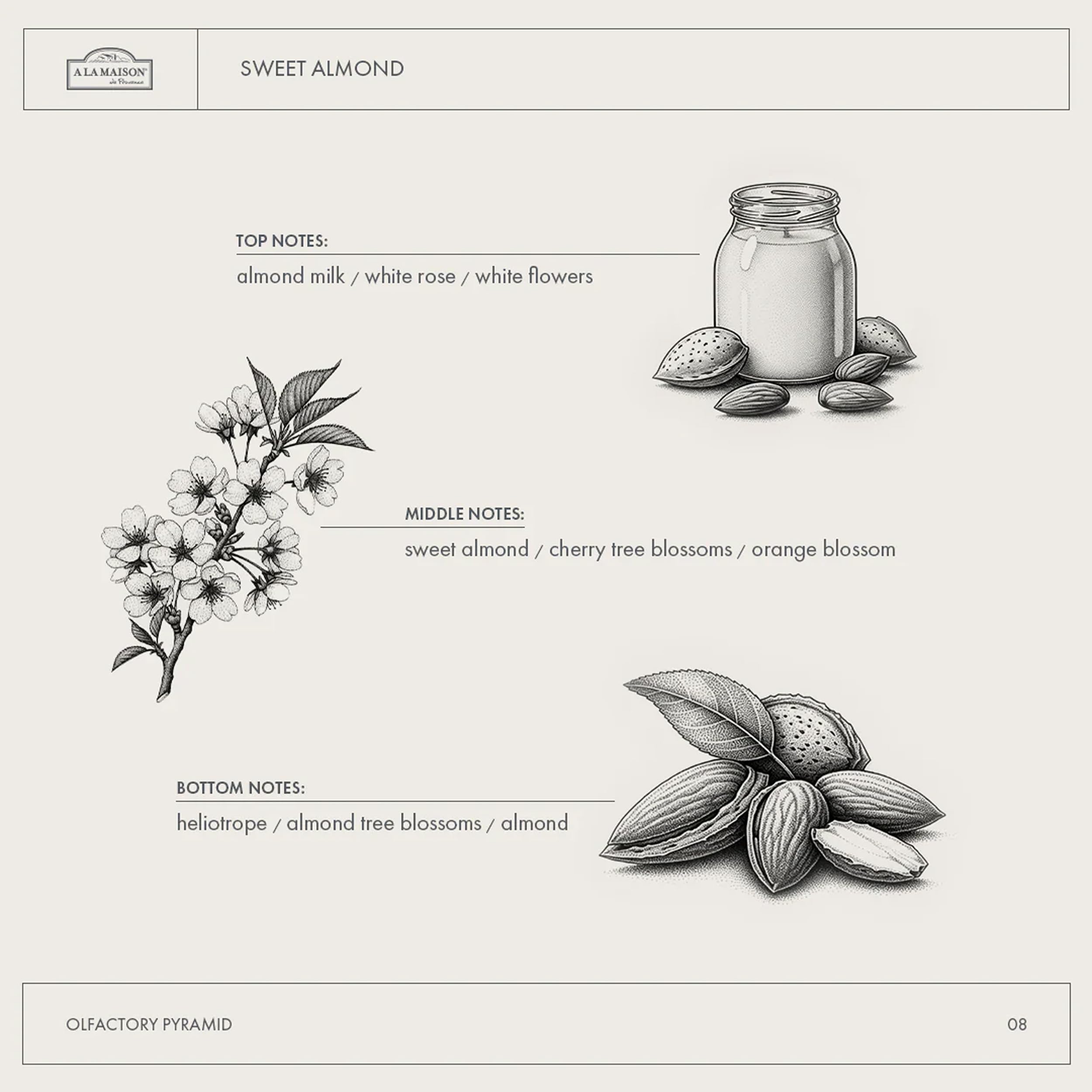 A LA MAISON Sweet Almond aroma swirls suggesting soothing fragrance experience.