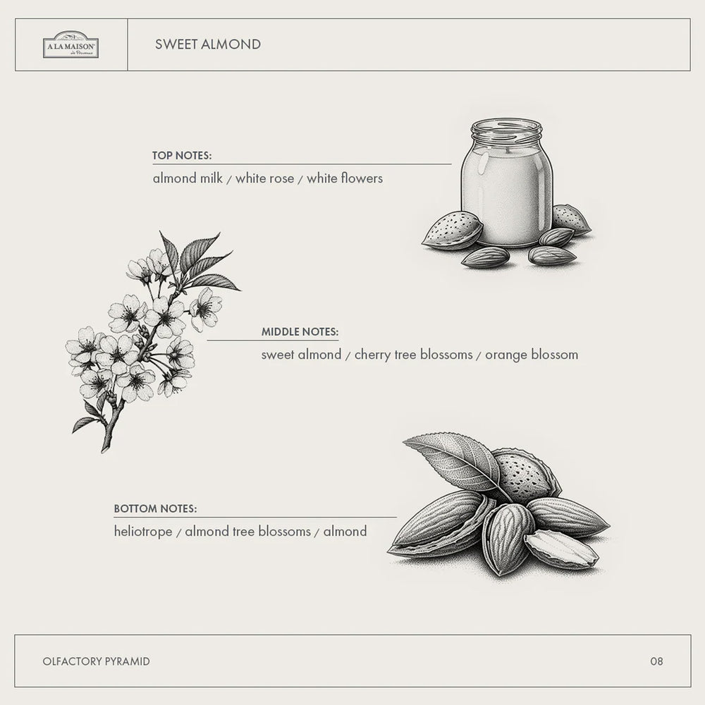 A LA MAISON Sweet Almond aroma swirls suggesting soothing fragrance experience.