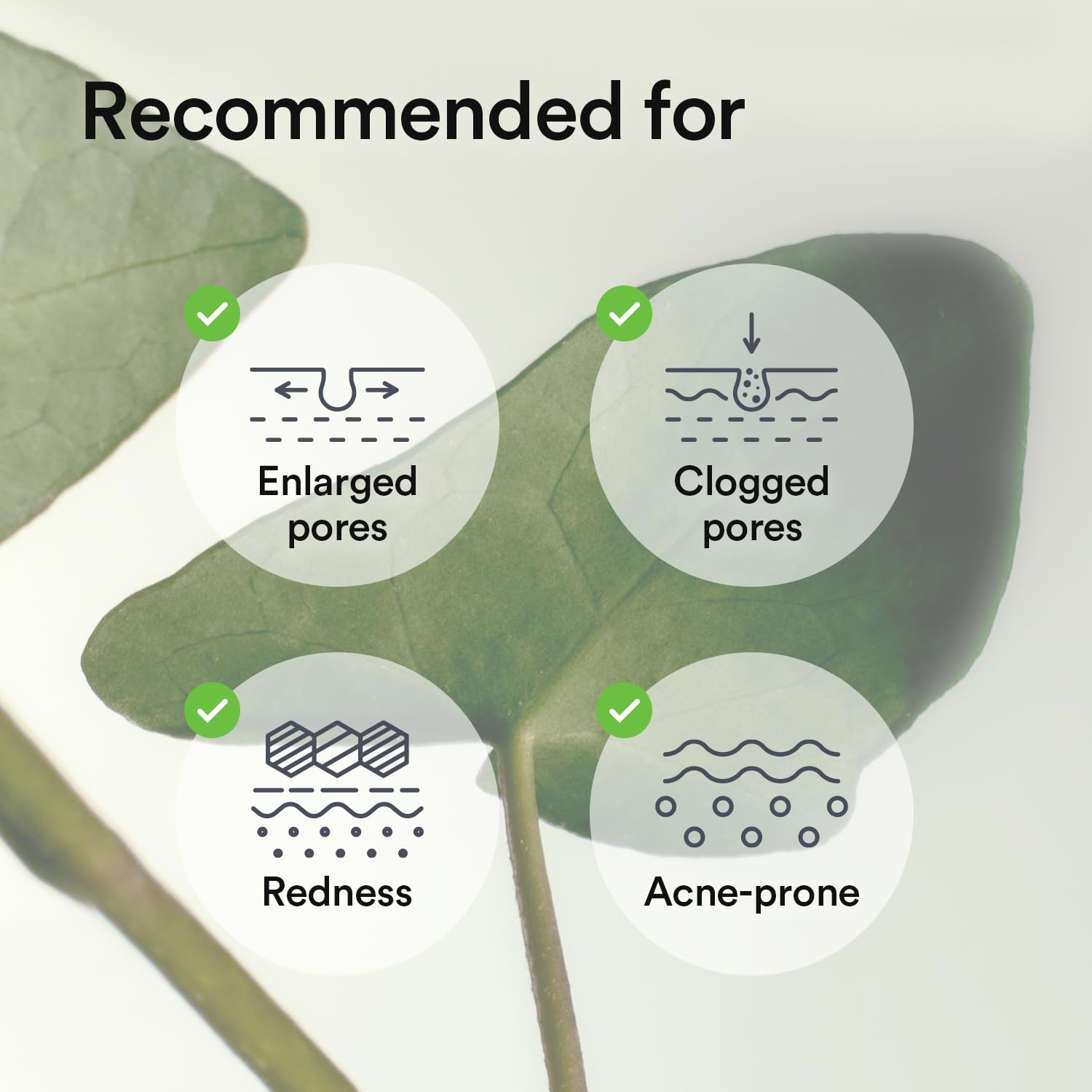 Abib dermatologist-tested seal highlights credible, gentle skincare validation