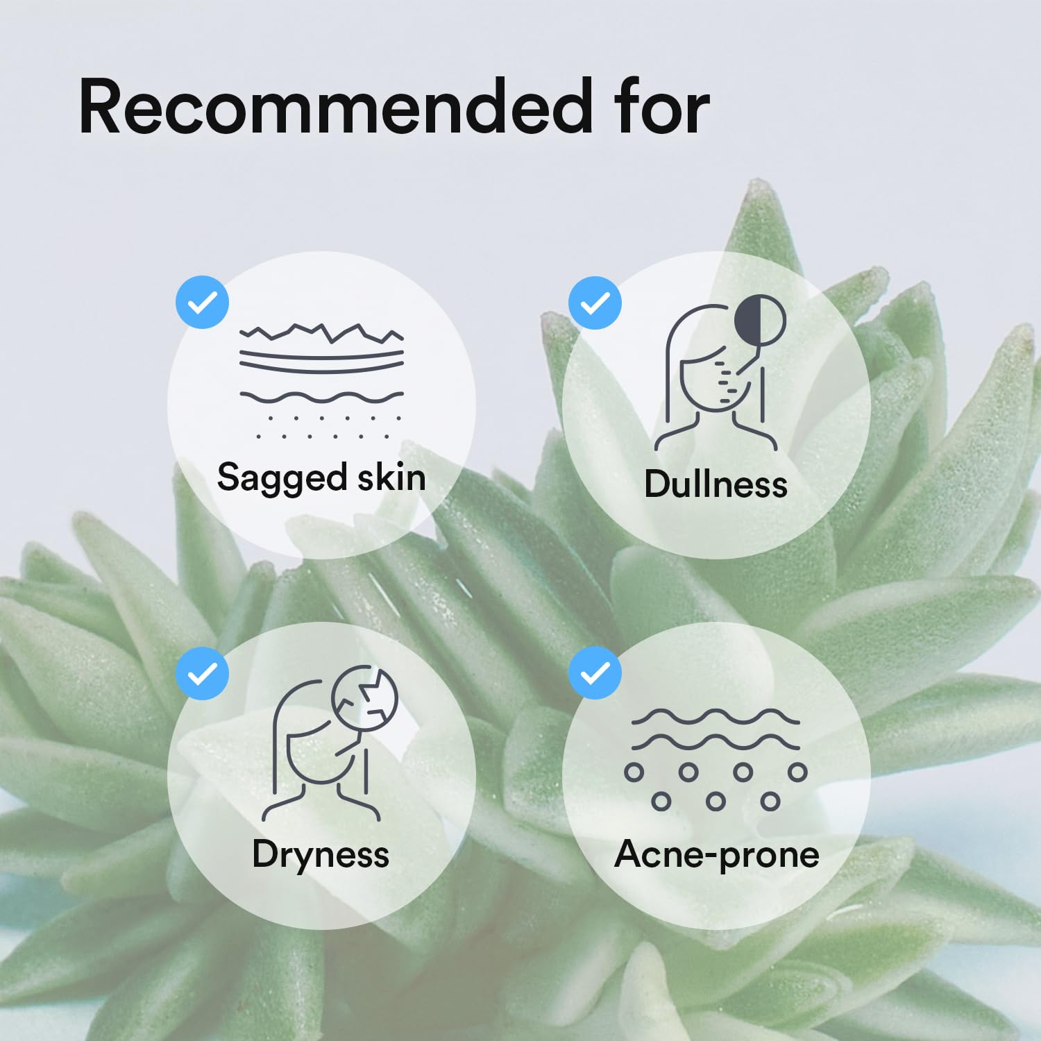 Abib Collagen Gel Mask Sedum Jelly dermatologist-testing badge conveys trusted, soft hydration for sensitive skin