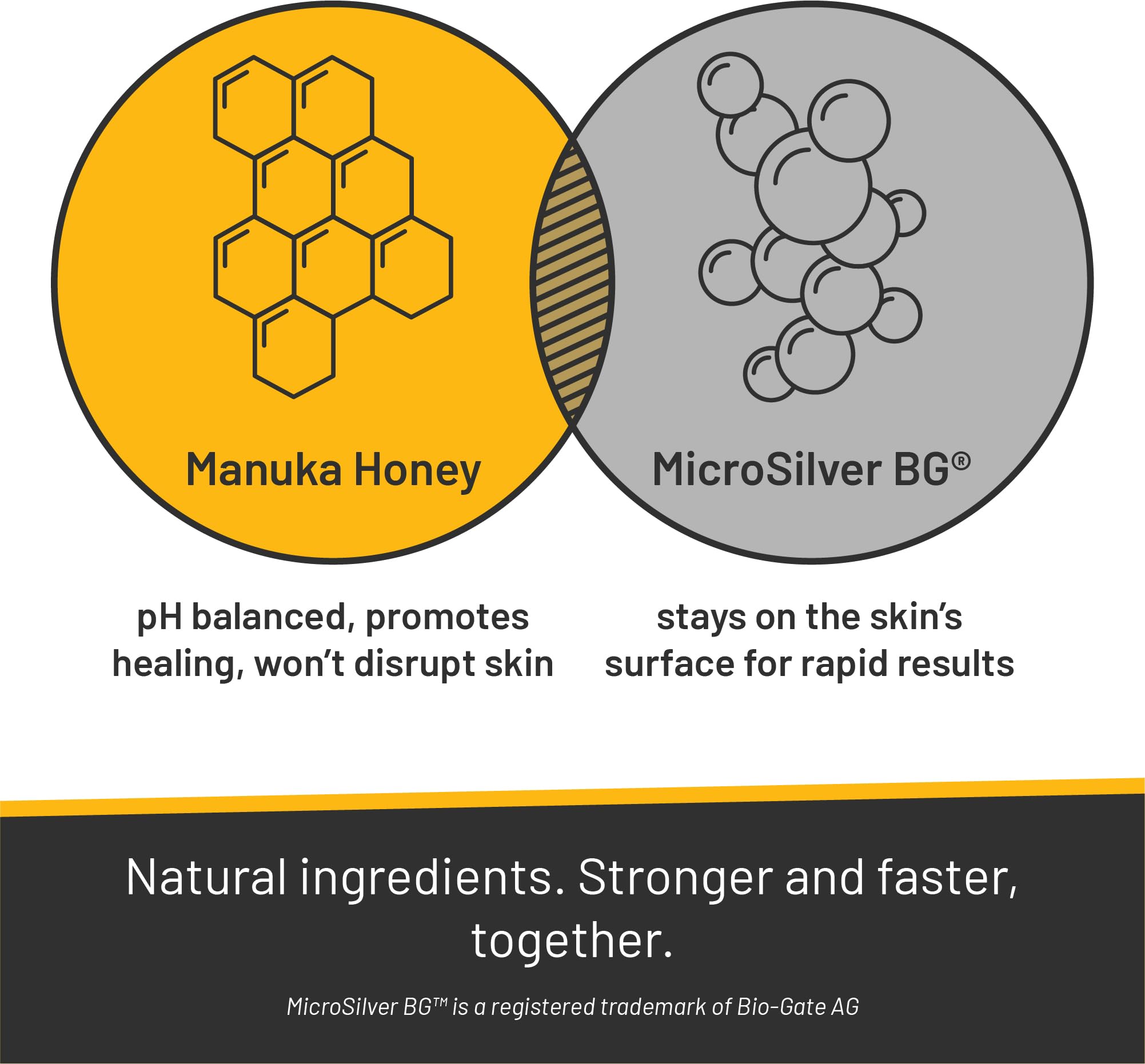 Absorbine Silver Honey Rapid Shampoo label highlights vet-developed formulation and medical-grade ingredients