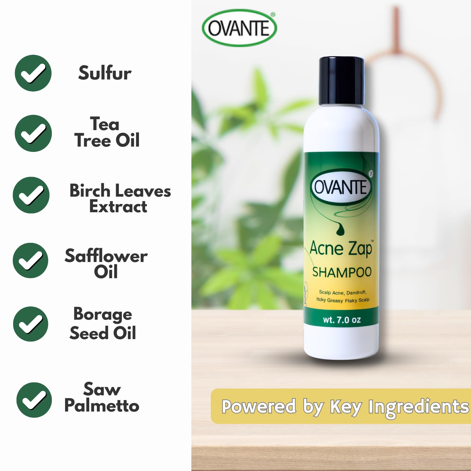 Acne Zap shampoo lather forming on scalp for soothing cleanse.