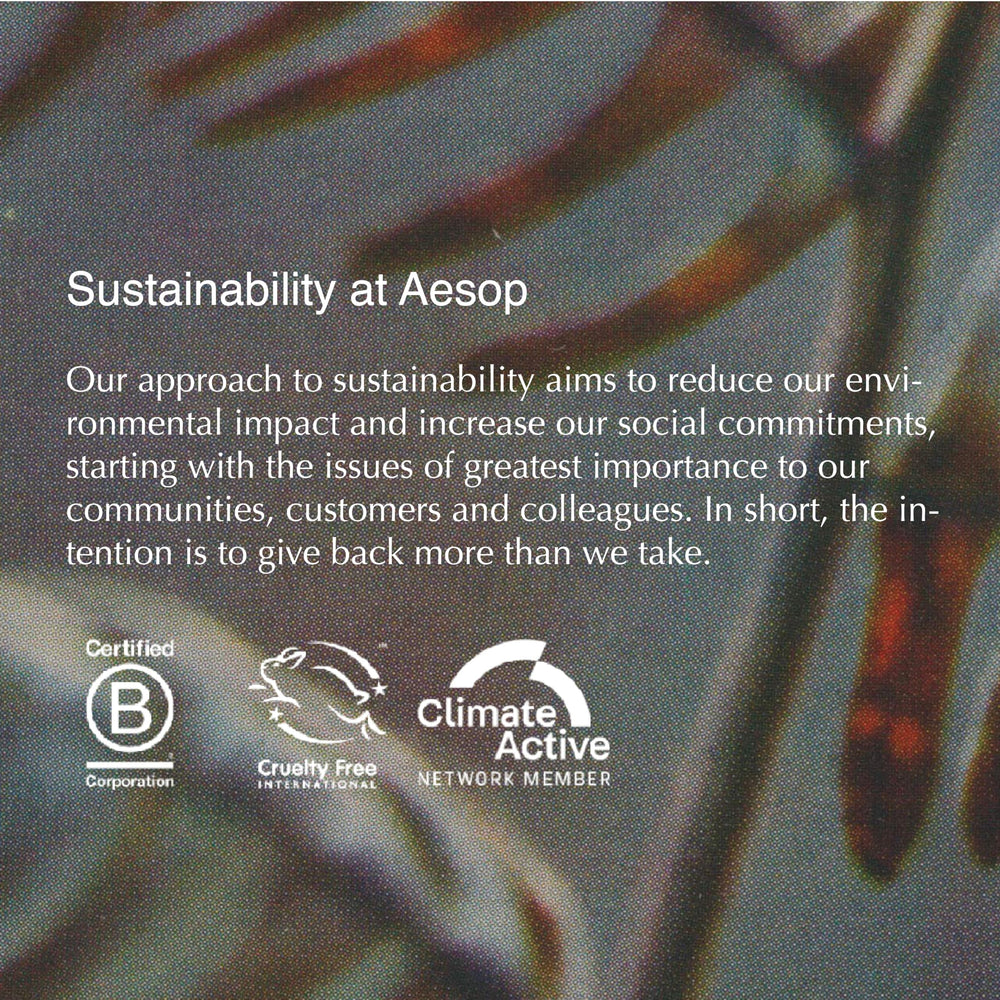 Aesop Cedar & Citrus Lip Balm tube close-up, emphasizing portable hydration on outings.