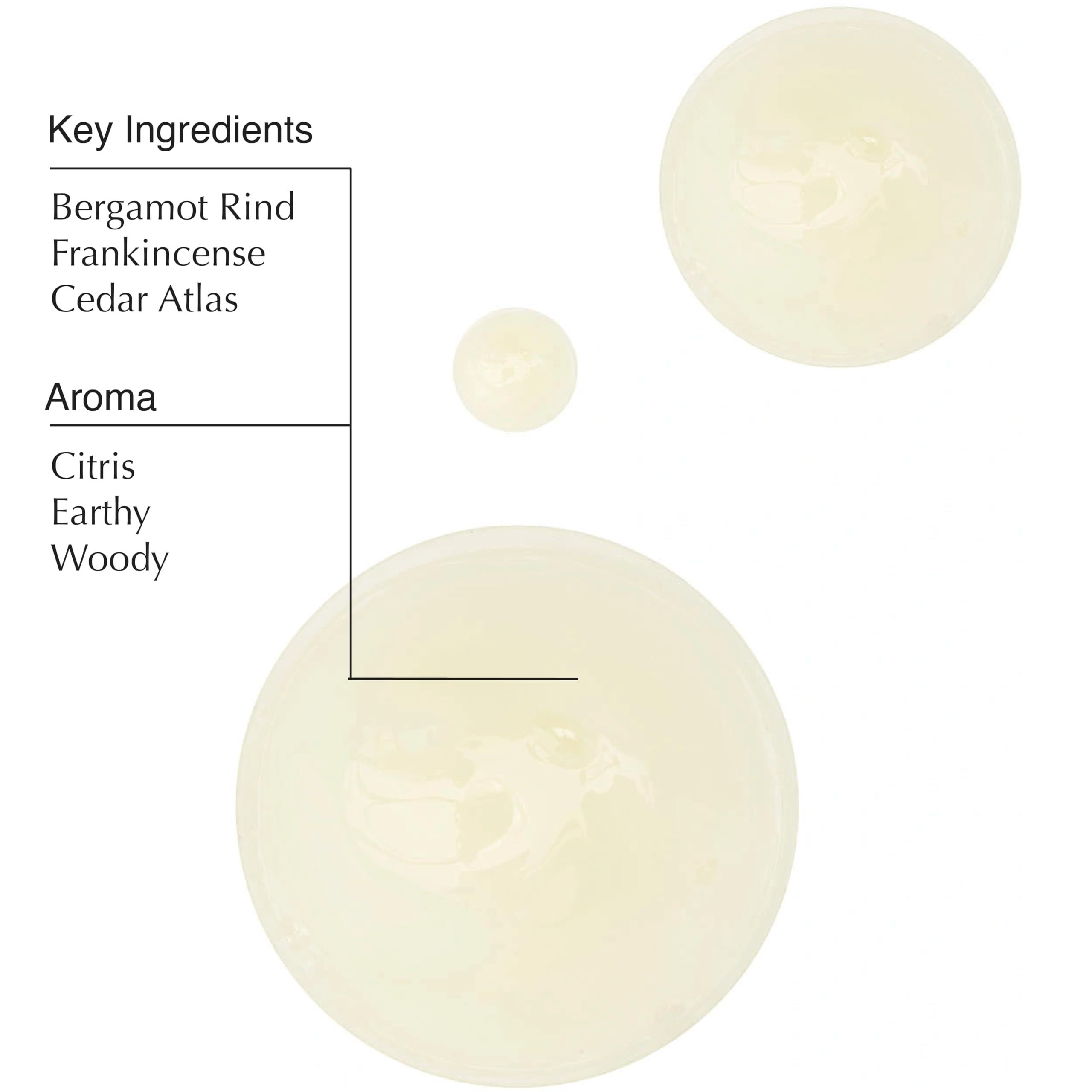 Aesop Geranium Leaf Body Cleanser ingredients graphic highlighting mandarin and bergamot notes