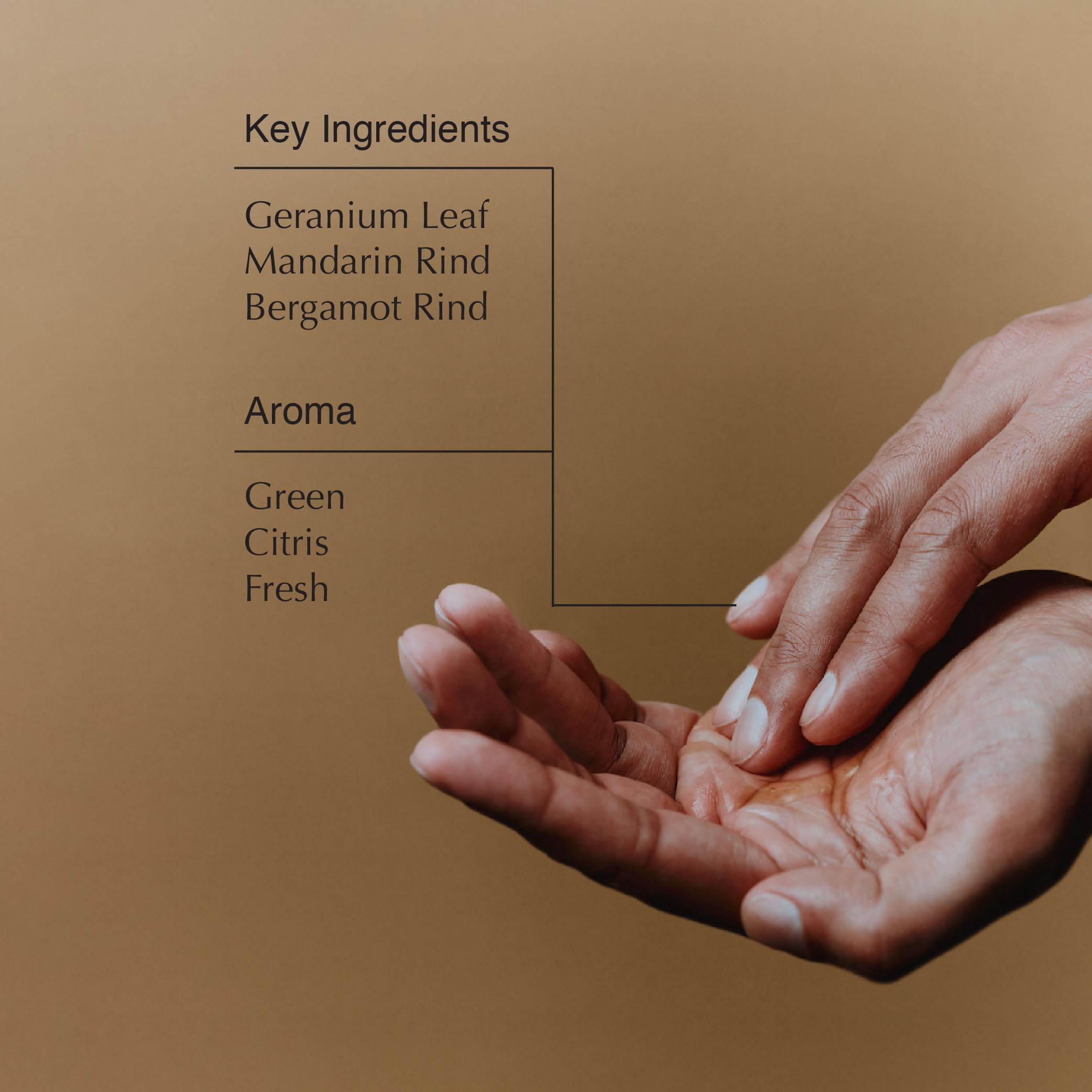 Aesop Geranium Leaf Body Cleanser mandarin rind detail delivering bright scent.