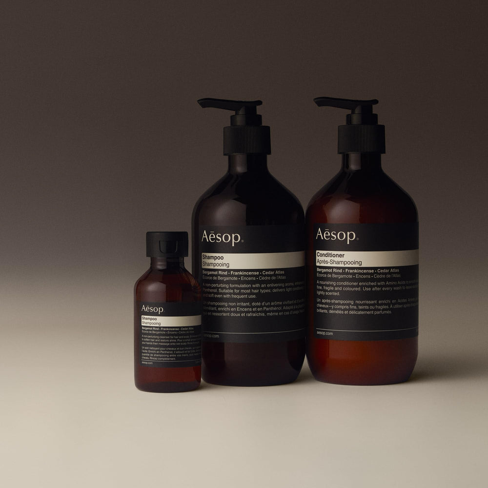 Aesop hair shine closeup reveals natural luster after conditioning.