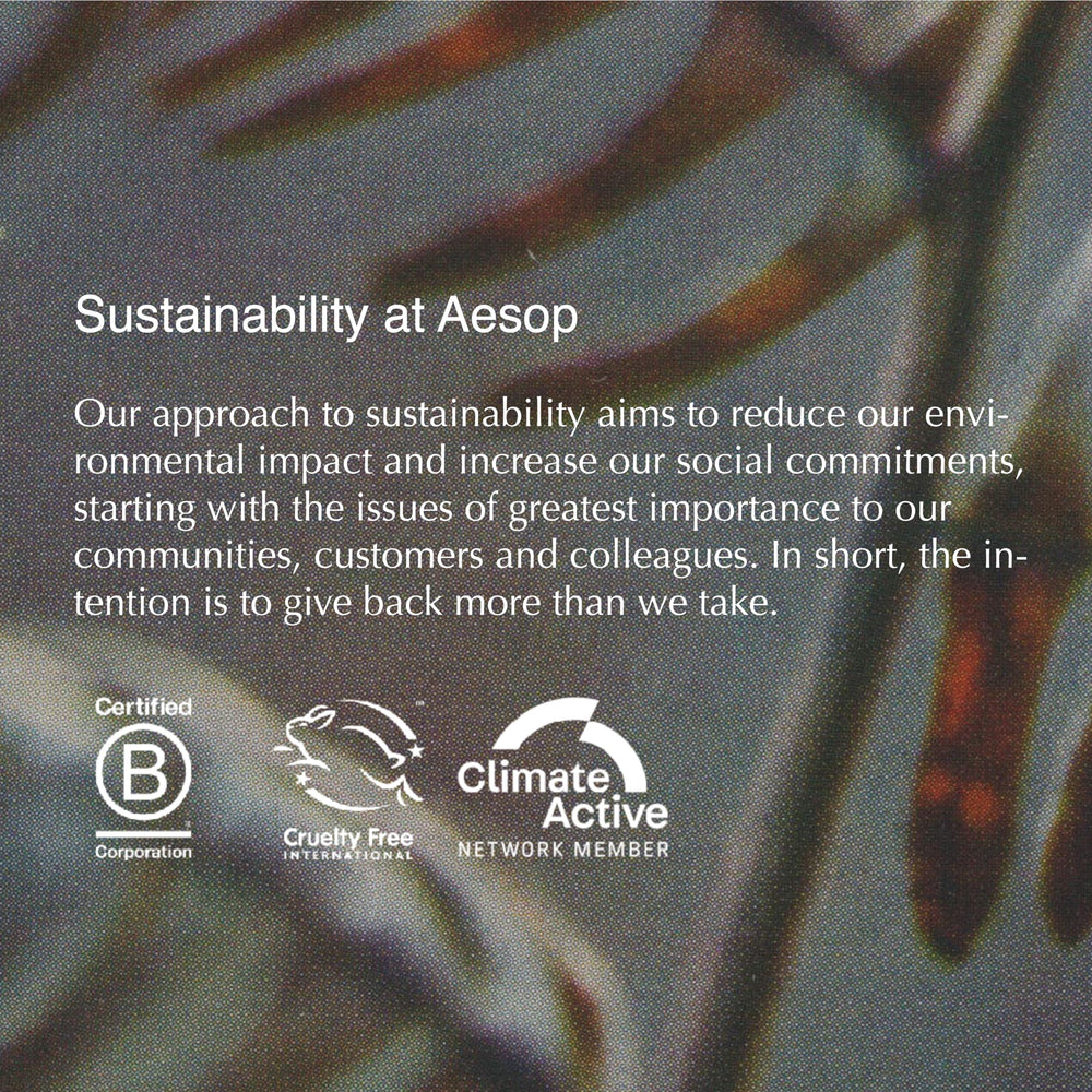Aesop Redemption Body Scrub showing a massage-ready texture for weekly exfoliation.