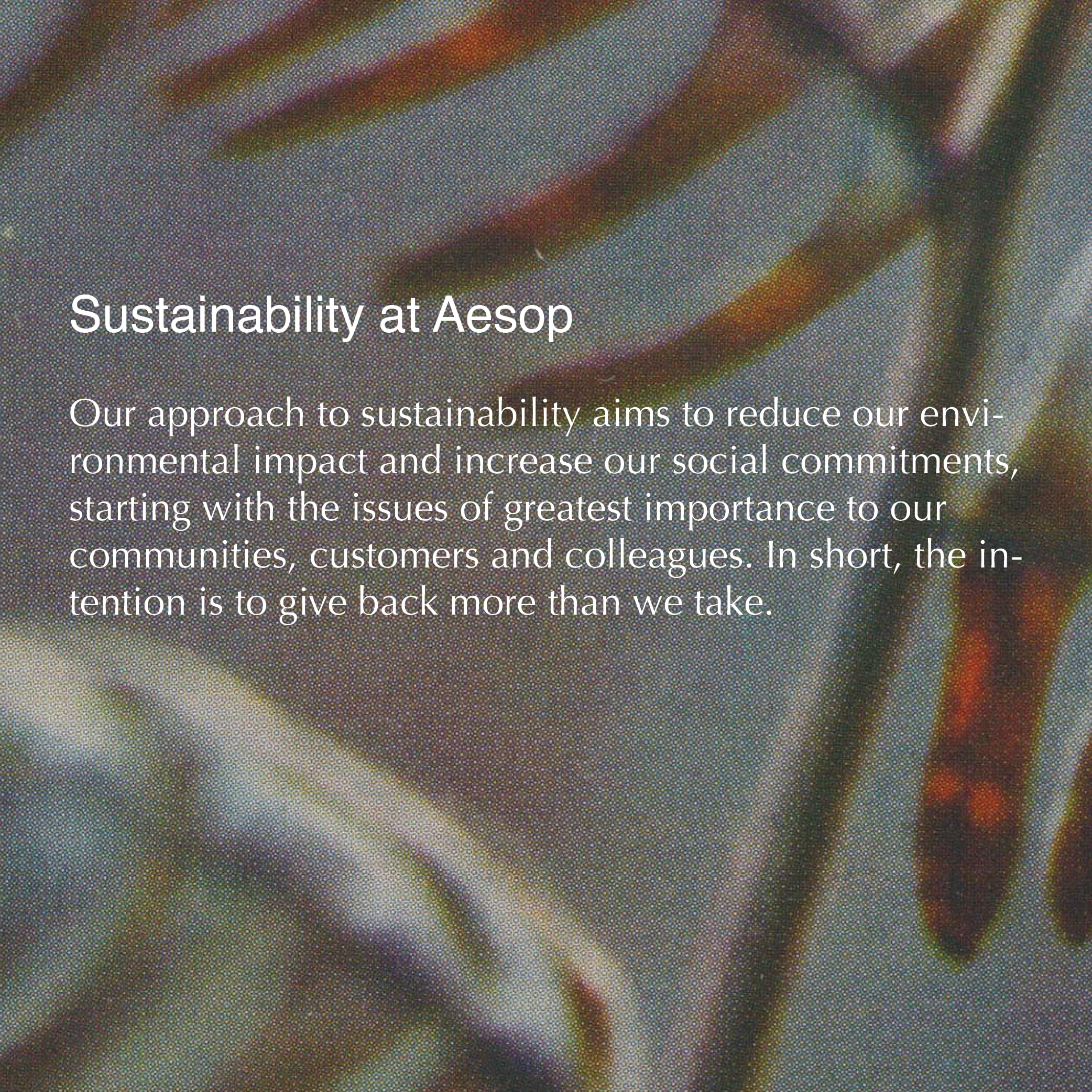 Aesop Rejuvenate Balm being applied to hands for nourished skin.