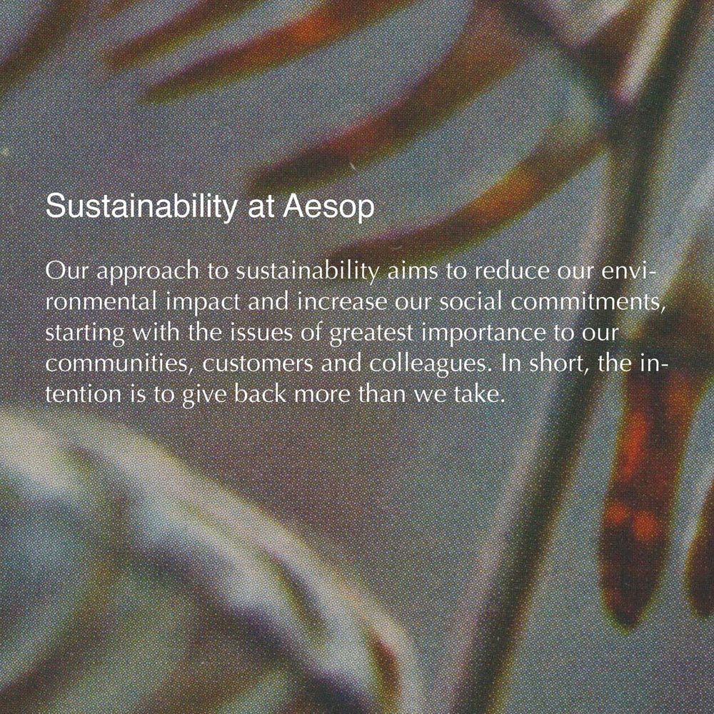 Aesop Rejuvenate Balm being applied to hands for nourished skin.
