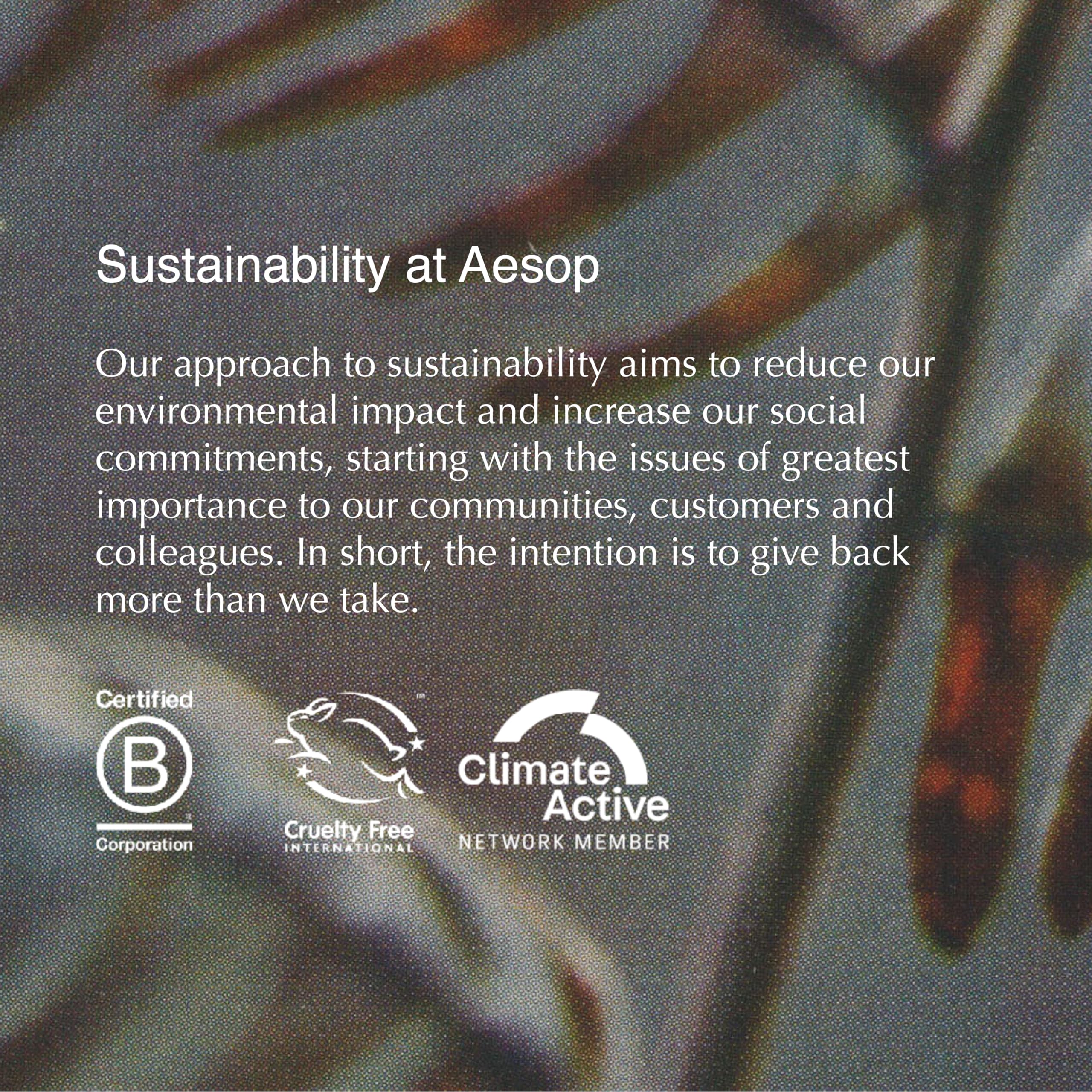 Aesop Reverence aroma close-up highlighting earthy smoky notes and botanical extracts.