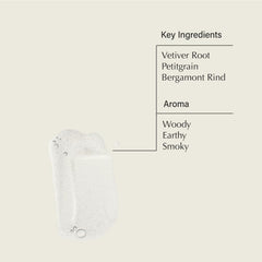 Aesop Reverence Aromatique Hand Wash with woodsy earthy fragrance for daily hand care