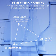 AESTURA ATOBARRIER365 triple lipid complex close-up showing barrier support.