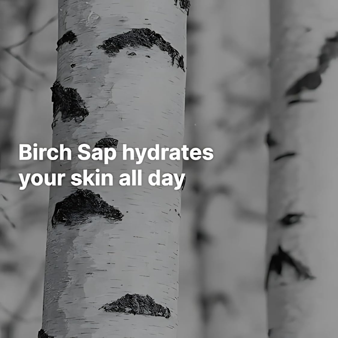 Award-winning Birch Juice Sunscreen from AHS SPORTS for reliable protection.