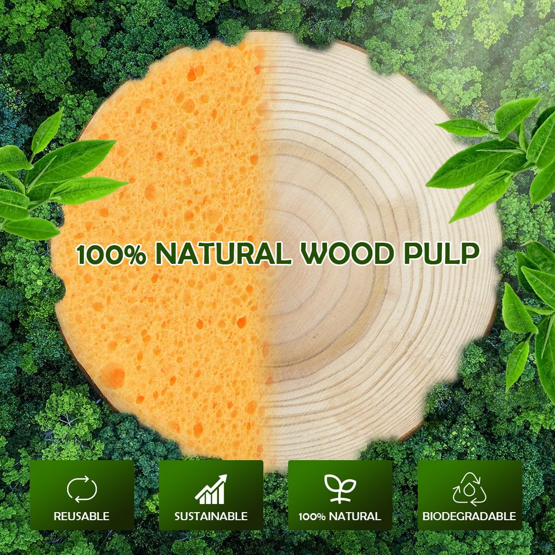 AIDEA plant-based cellulose sponges made from renewable sources