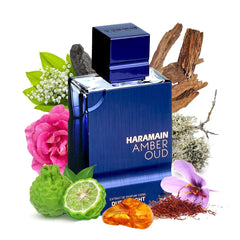 Al Haramain Amber Oud Dubai Night top-notes image highlights bergamot and saffron brightness.