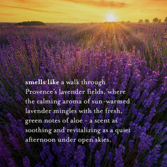 A LA MAISON Provence plant-derived ingredients preserve glycerin for a nourishing lather