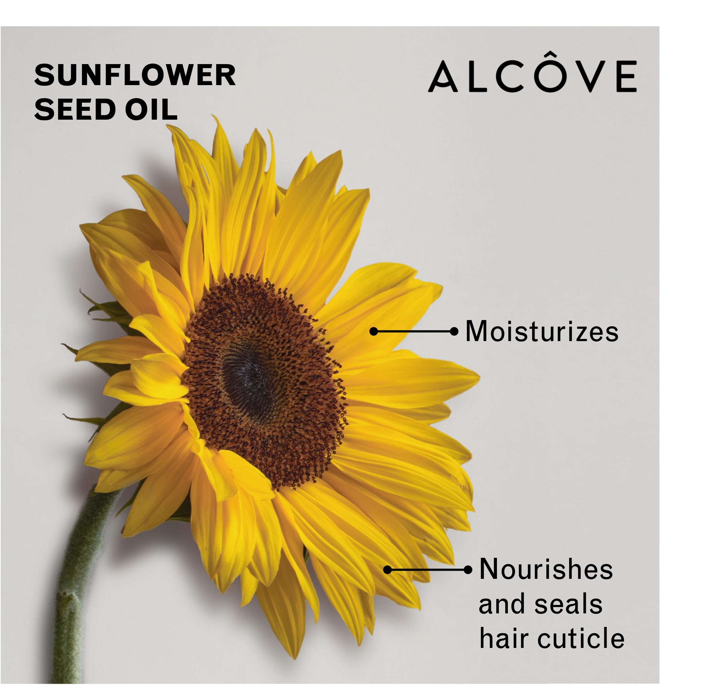 Alcôve Curl Activator with argan oil adds silky shine to curls.