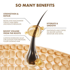 ALFHEIM Coffee+ Shampoo with niacinamide and panthenol supports moisture balance