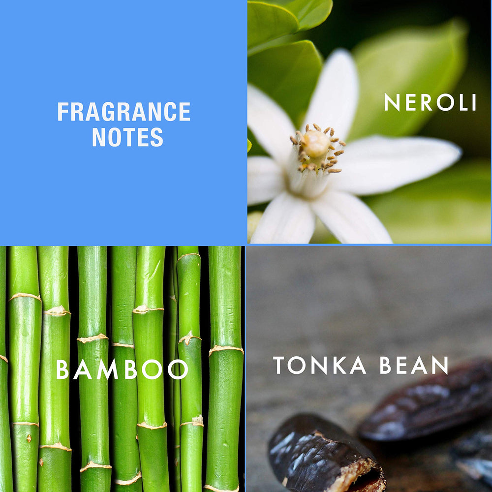 ALFRED SUNG HEI bamboo neroli tonka notes close-up