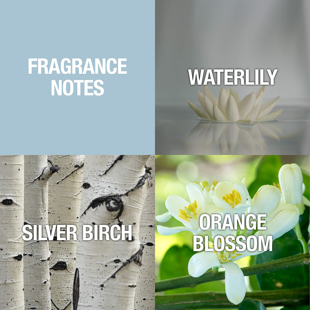 Alfred Sung Shi packaging hints at premium gifting and lasting impression.