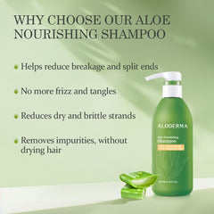 Aloderma Aloe Vera field harvest emphasizes fresh organic ingredients and moisture.