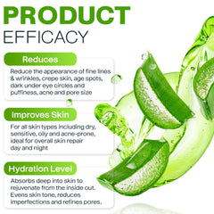 Aloemoist organic ingredients illustration highlights vitamins and antioxidants for skin health.