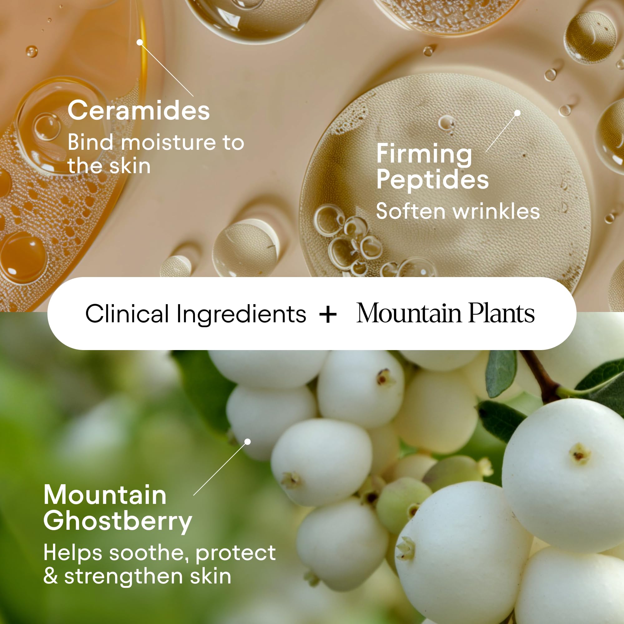 Alpyn Wild-harvest sustainability packaging signals eco-friendly, mindful skincare