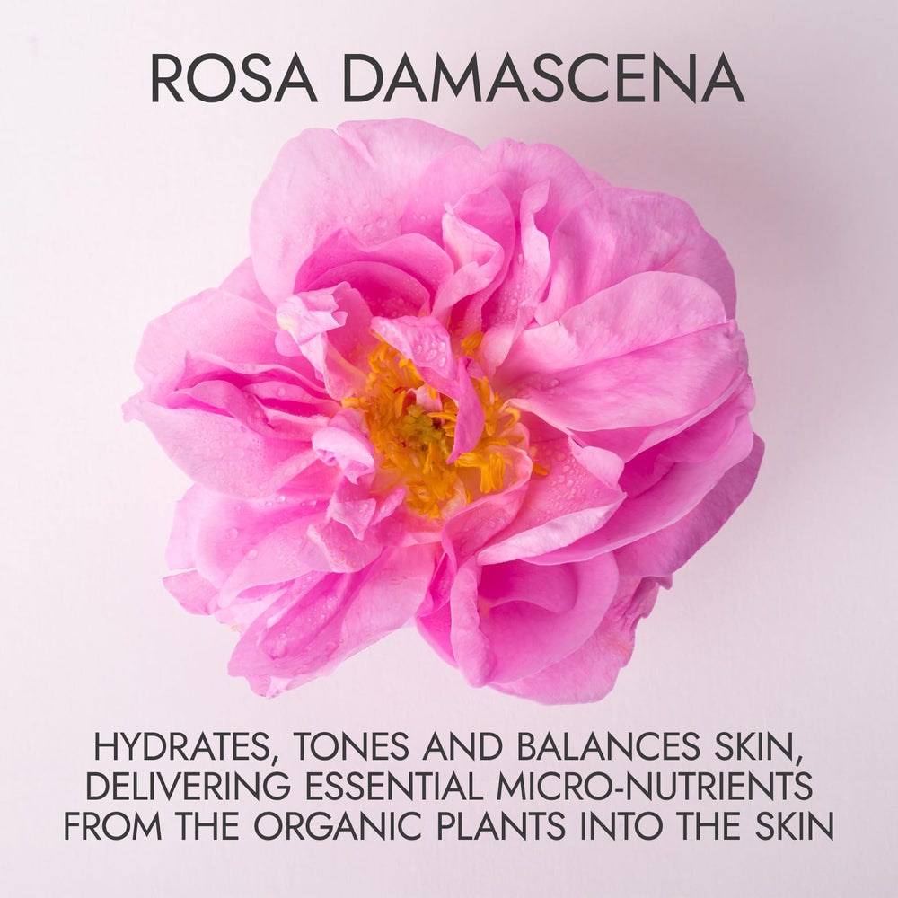 Alteya Organics steam-distillation from Bulgarian Rosa Damascena signals purity and heritage.