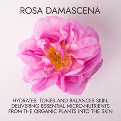 Alteya Organics steam-distillation from Bulgarian Rosa Damascena signals purity and heritage.