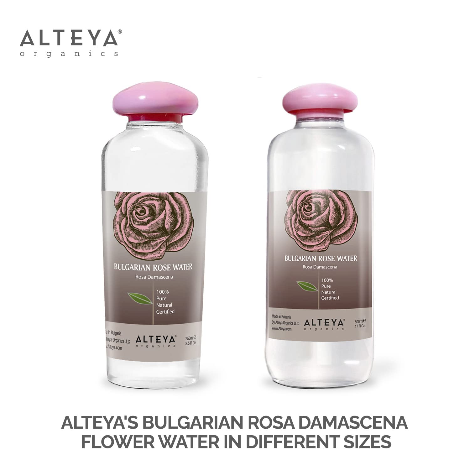 Alteya Rose Water being produced in the Bulgarian Rose Valley setting.