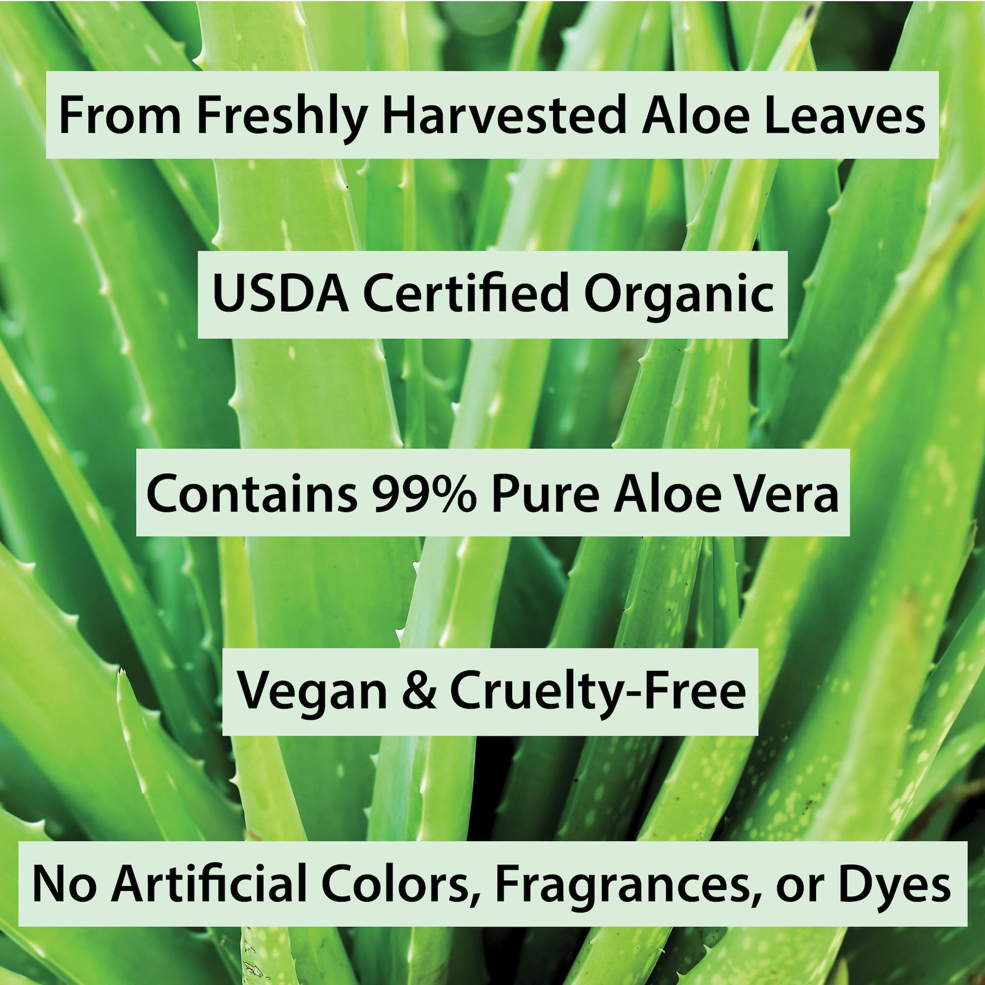 Amara Beauty Aloe Vera Gel hair-use demonstrates styling and natural shine