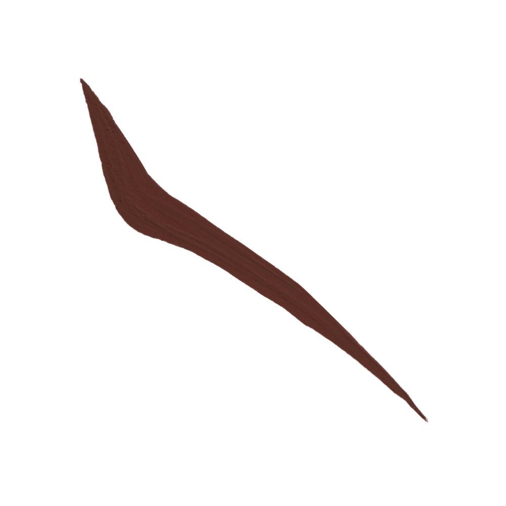 Anastasia Beverly Hills brown swatch reveals rich matte pigment.