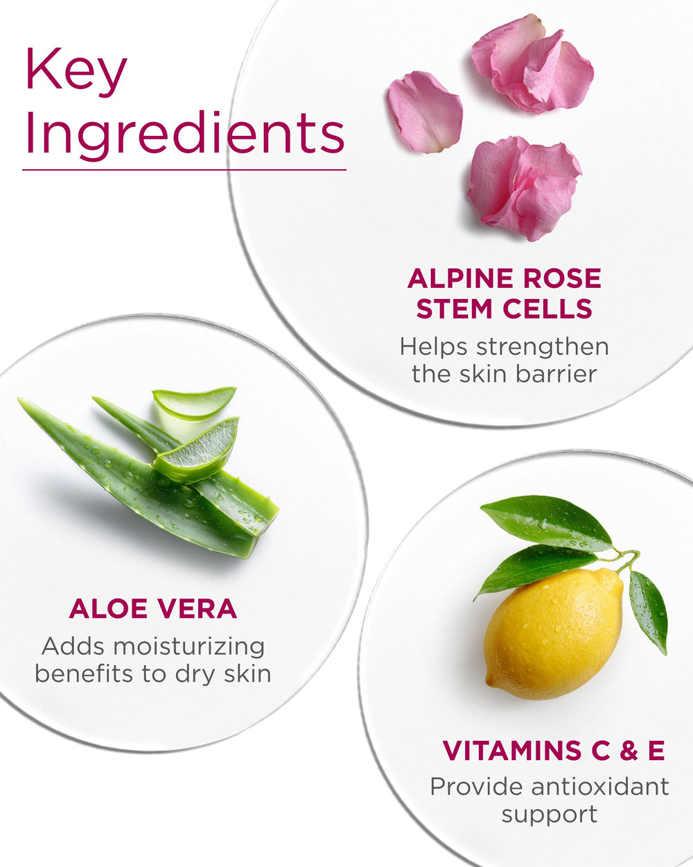 Andalou Naturals pomegranate oil close-up emphasizing antioxidant hydration