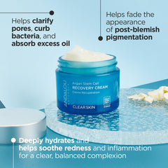 Andalou Naturals Argan Stem Cell Recovery Cream texture closeup soothing oily skin