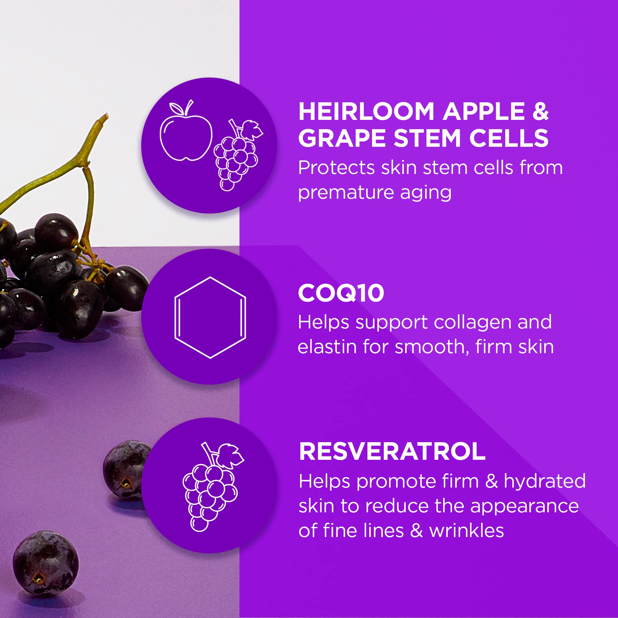 Andalou Naturals DIY Booster ingredients close-up highlighting antioxidant stem cells.