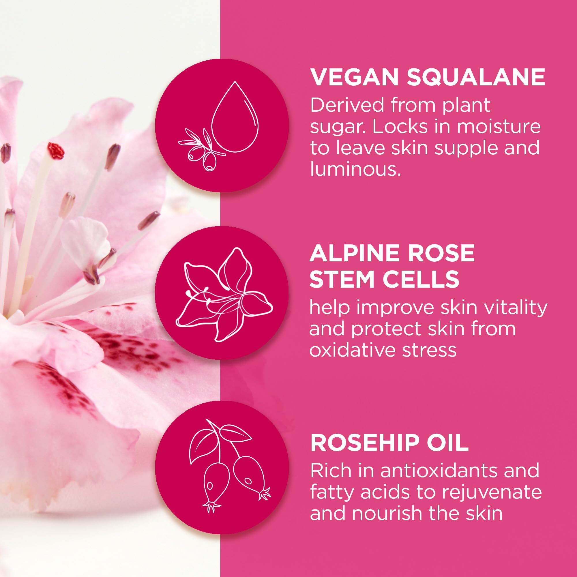 Andalou Naturals natural ingredients icons illustrate organic, non-GMO, cruelty-free sourcing.