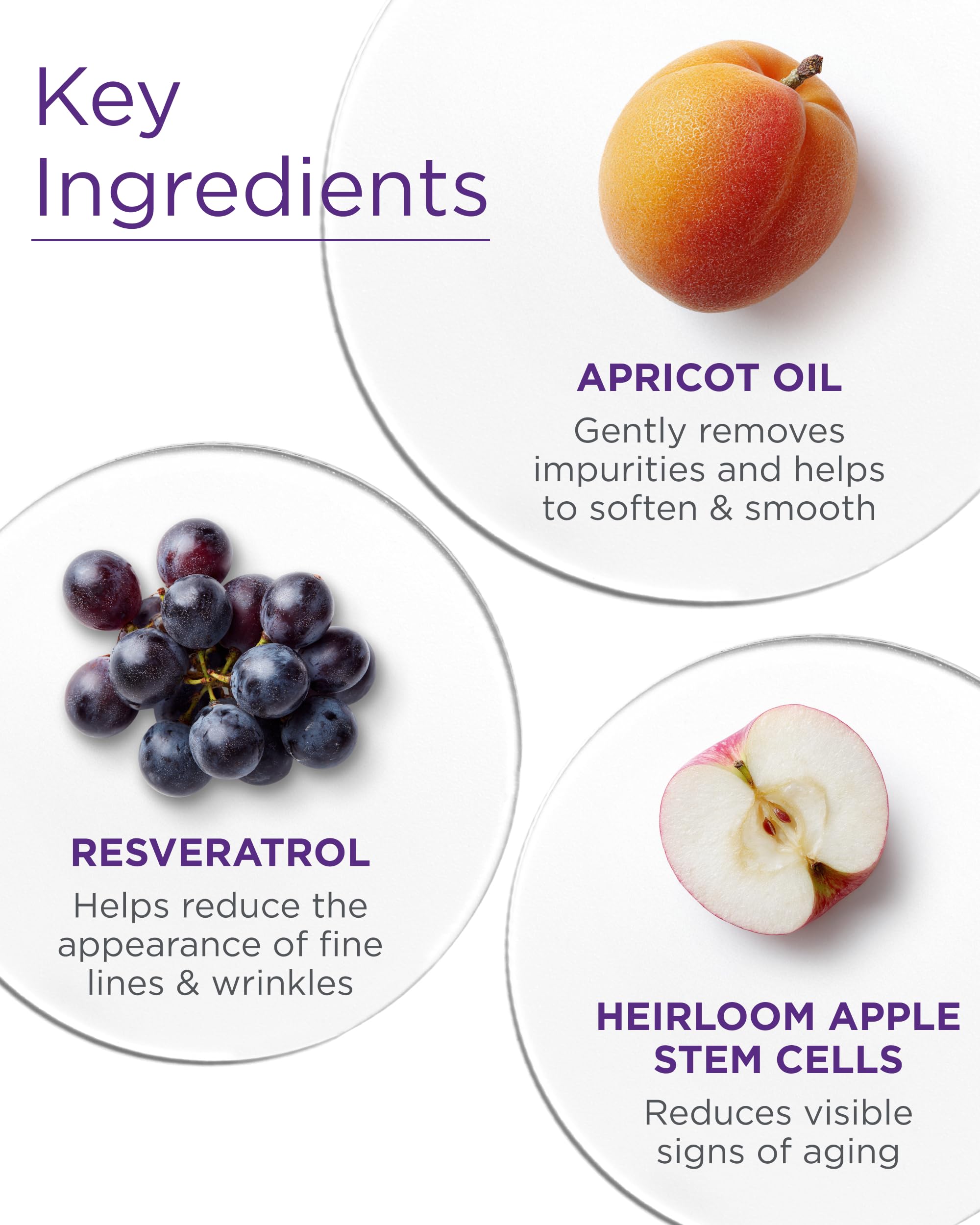 Andalou Naturals resveratrol-coq10 panel close-up signals anti-aging-inspired antioxidant care.