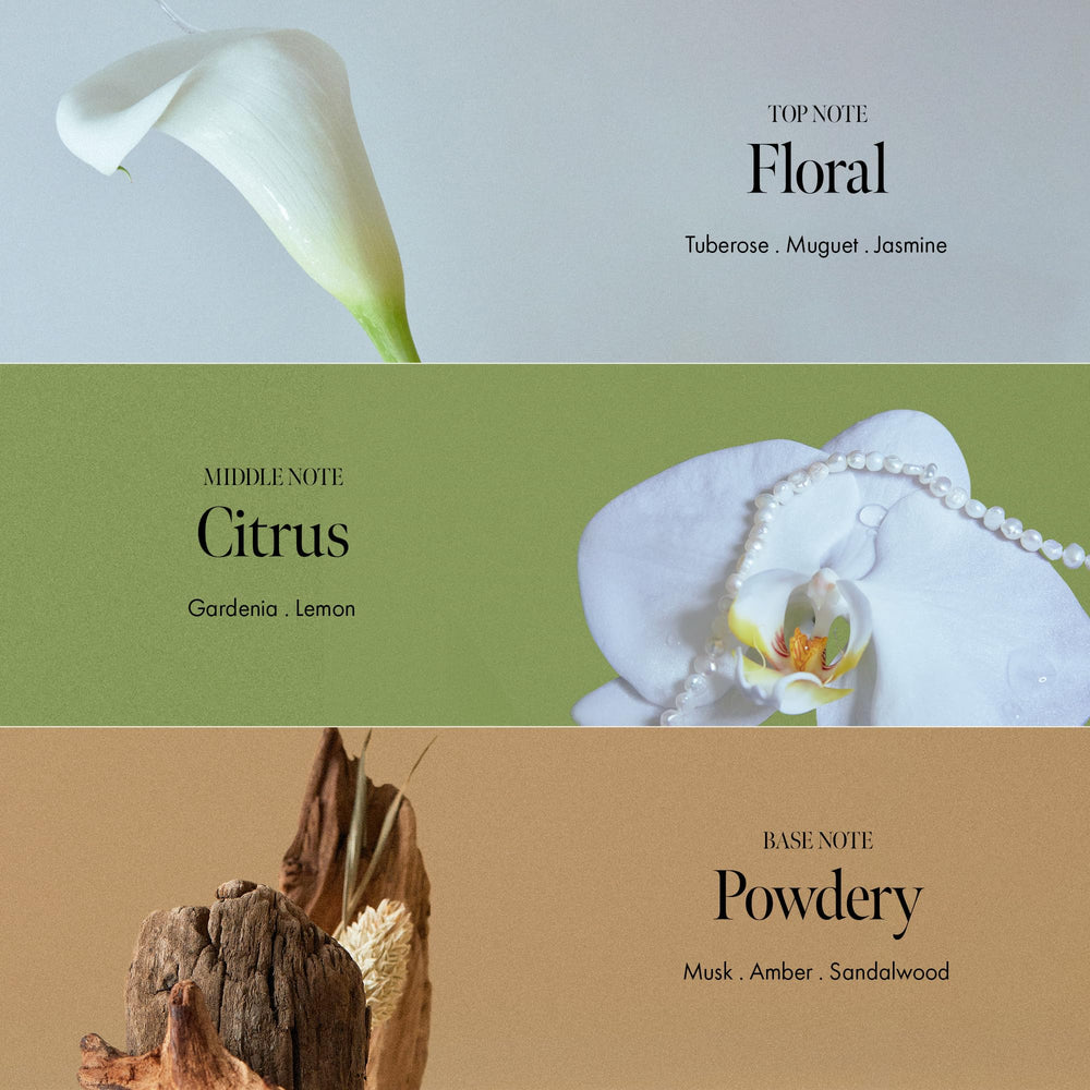 ANILLO Gardenia Veil color-fix system highlights long-lasting vibrancy from roots to tips.