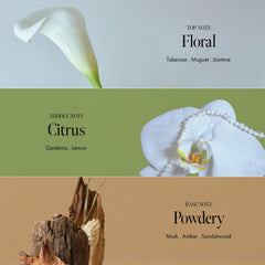 ANILLO Gardenia Veil color-fix system highlights long-lasting vibrancy from roots to tips.
