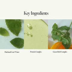 ANILLO Patchouli Garden protein complex promotes stronger strands for everyday styling.