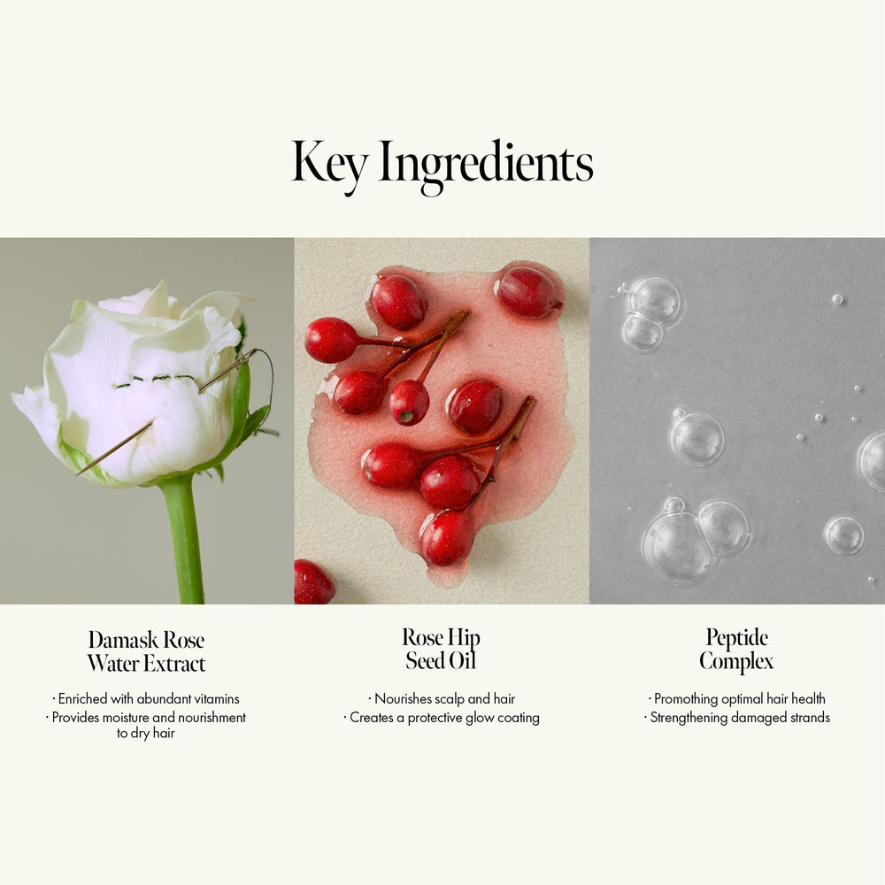 Close-up: ANILLO Rosy Night Ampoule with Damask Rose Water boosting resilience.