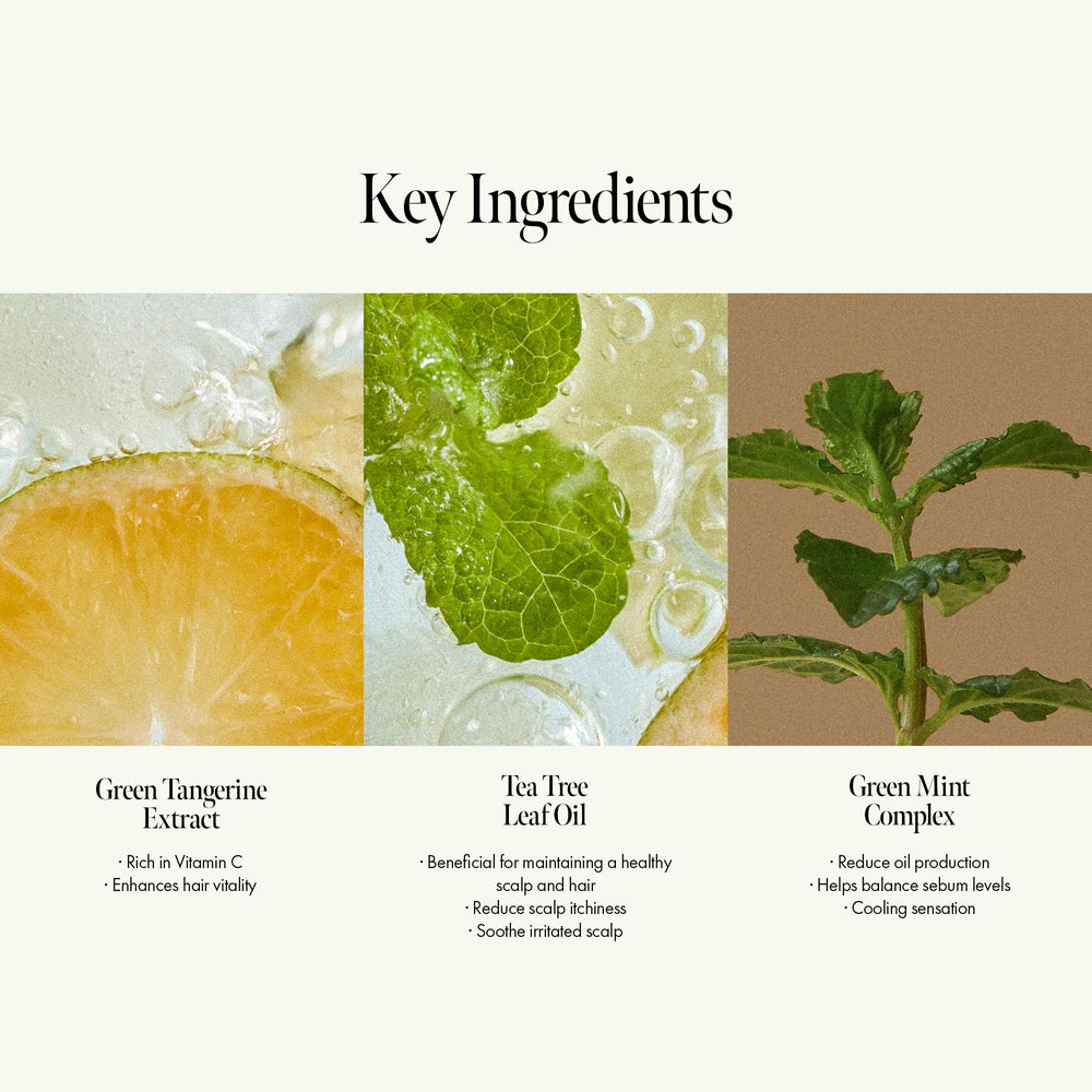 ANILLO Sunday Refresh mint leaves emphasize cooling scalp refresh for oily roots.