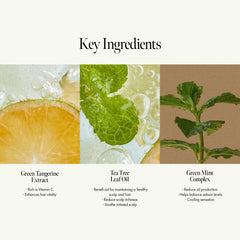 ANILLO Sunday Refresh mint leaves emphasize cooling scalp refresh for oily roots.