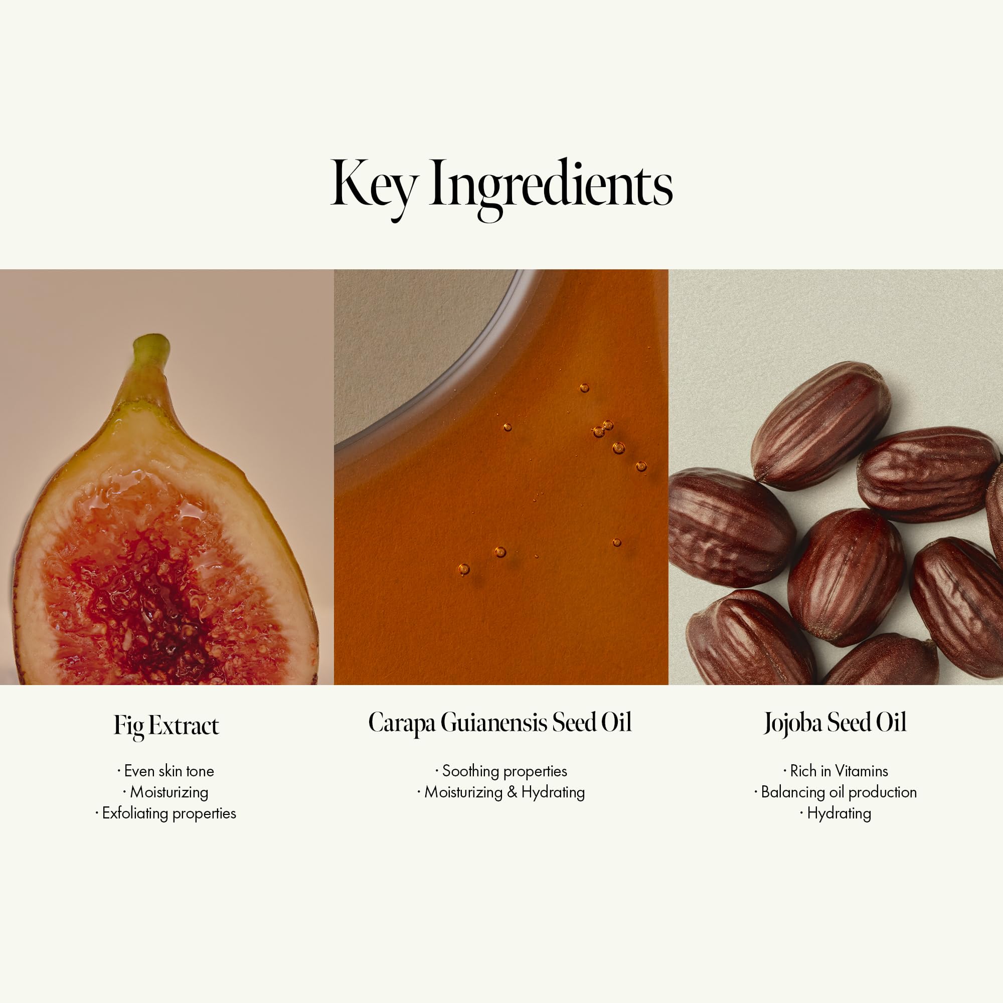 ANILLO woody aroma with fig undertones enriching sensory experience