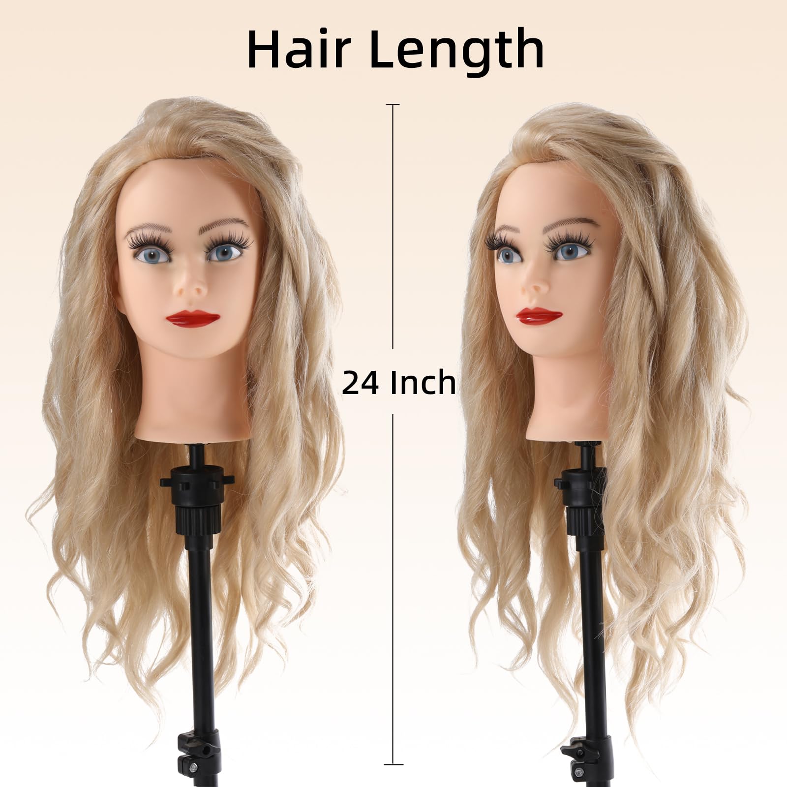 Anstar mannequin head with table clamp for stable, hands free styling sessions.