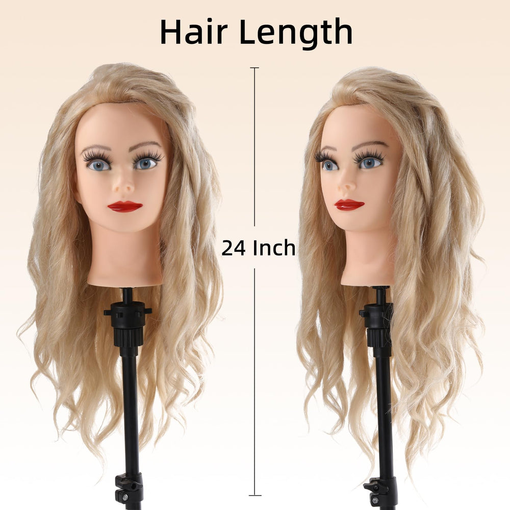 Anstar mannequin head with table clamp for stable, hands free styling sessions.